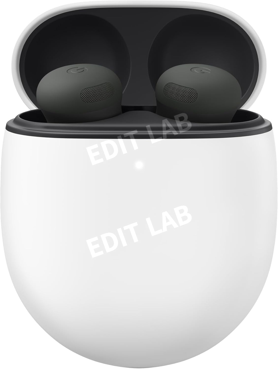 구글 픽셀 버드 (97) 사진